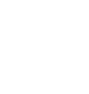 Нск Сад